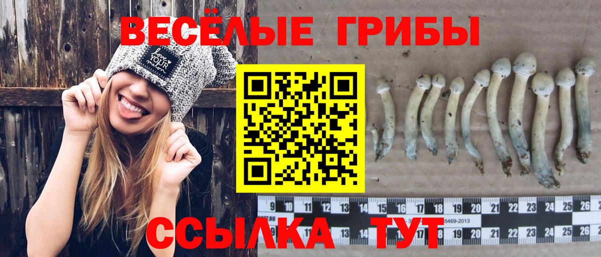 Псилоцибиновые грибы ЛСД  Вход с VPN  Кемерово 